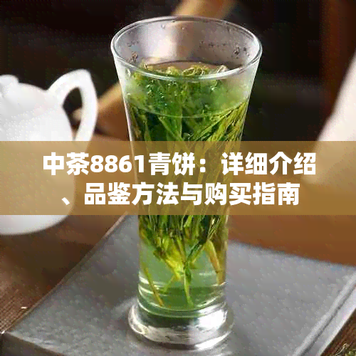 中茶8861青饼：详细介绍、品鉴方法与购买指南