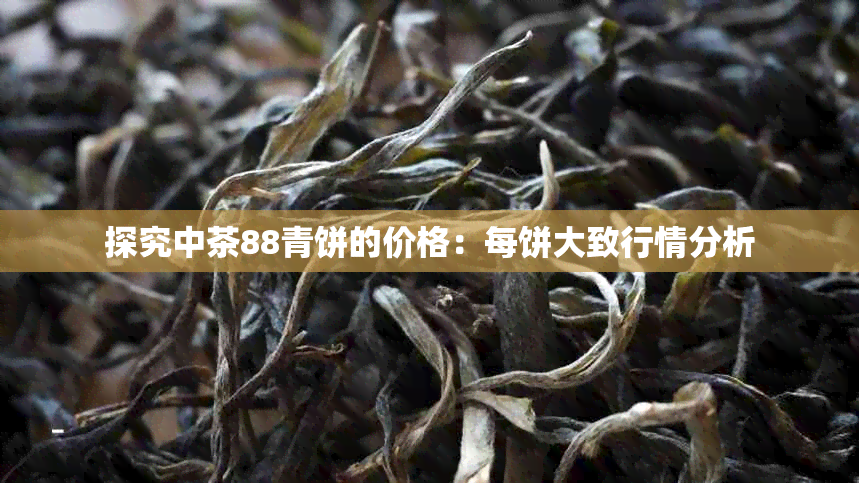 探究中茶88青饼的价格：每饼大致行情分析