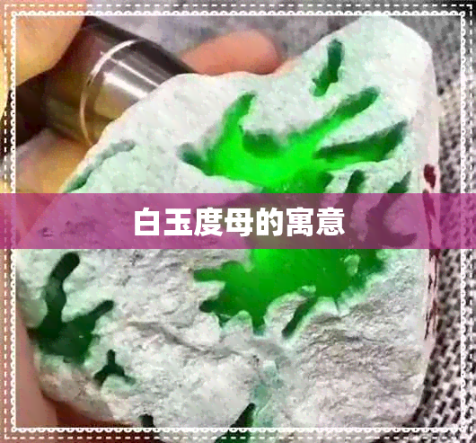 白玉度母的寓意 白玉度母的寓意