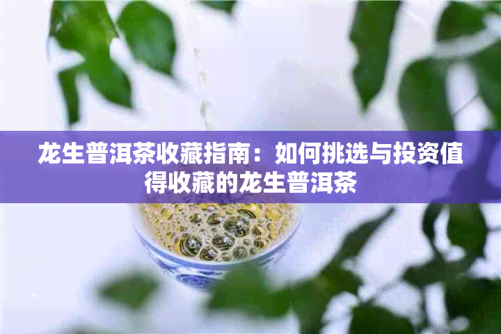 龙生普洱茶收藏指南:如何挑选与投资值得收藏的龙生普洱茶