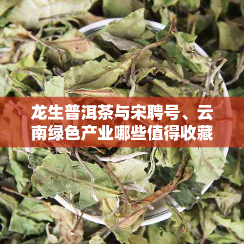 龙生普洱茶与宋聘号、云南绿色产业哪些值得收藏