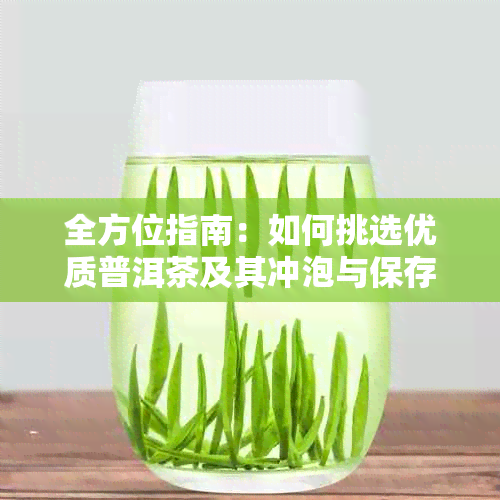 全方位指南:如何挑选优质普洱茶及其冲泡与保存技巧