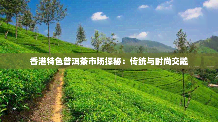 特色普洱茶市场探秘:传统与时尚交融