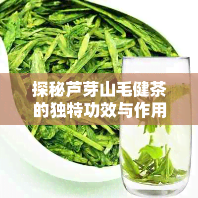 探秘芦芽山毛健茶的独特功效与作用