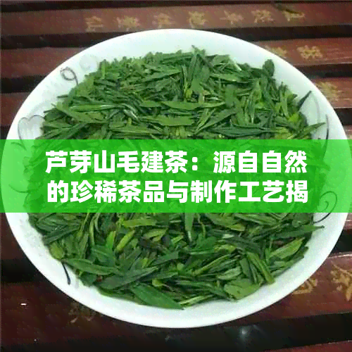 芦芽山毛建茶：源自自然的珍稀茶品与制作工艺揭秘