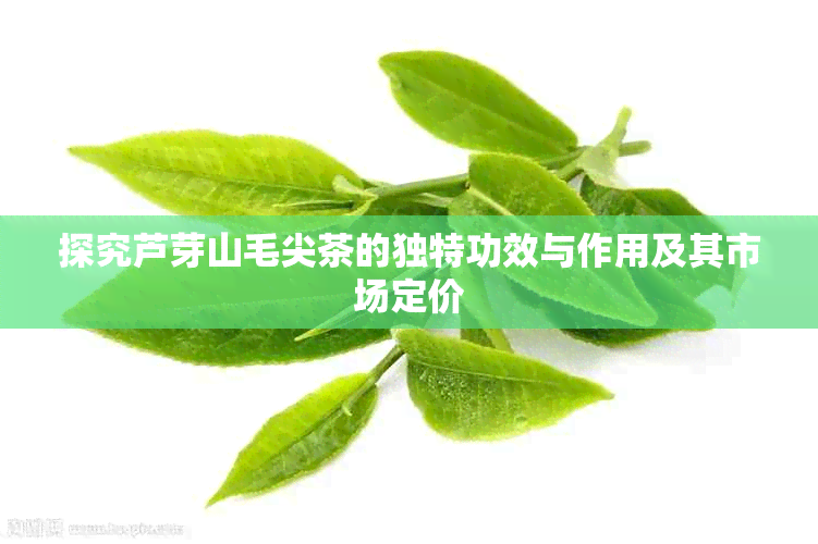 探究芦芽山毛尖茶的独特功效与作用及其市场定价