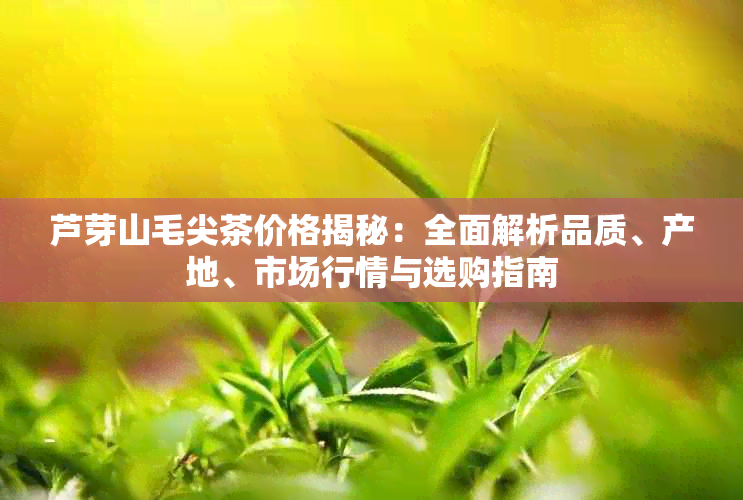 芦芽山毛尖茶价格揭秘：全面解析品质、产地、市场行情与选购指南