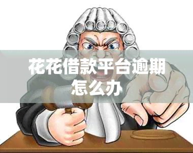 花花借款平台逾期怎么办