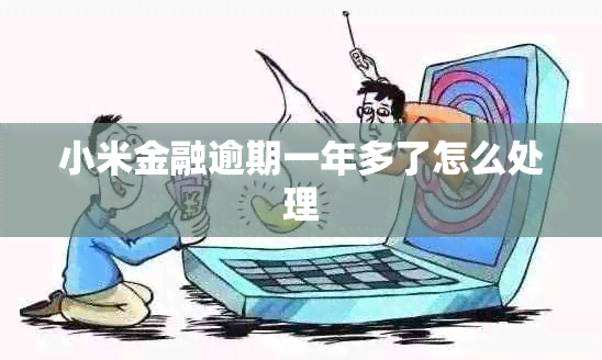 小米金融逾期一年多了怎么处理