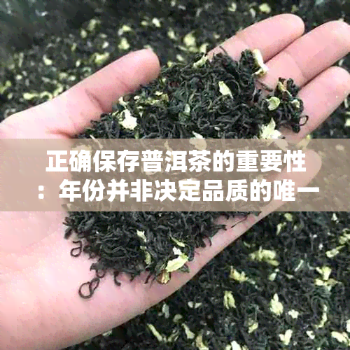 正确保存普洱茶的重要性：年份并非决定品质的唯一因素