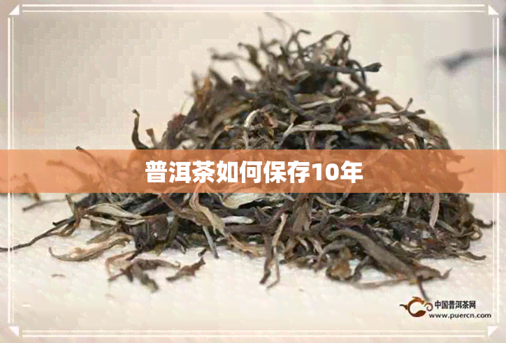 普洱茶如何保存10年