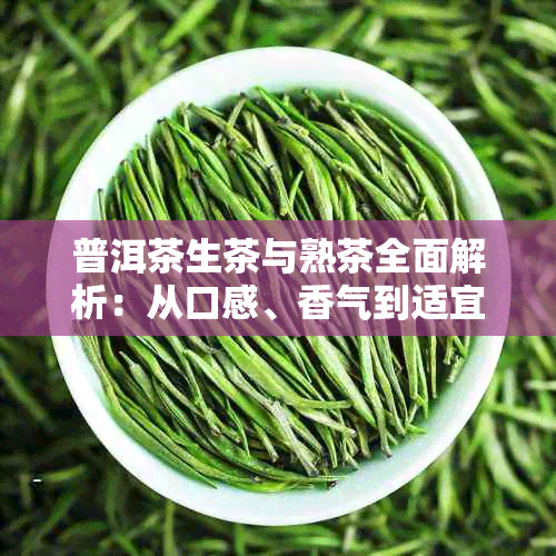 普洱茶生茶与熟茶全面解析：从口感、香气到适宜人群的全方位对比