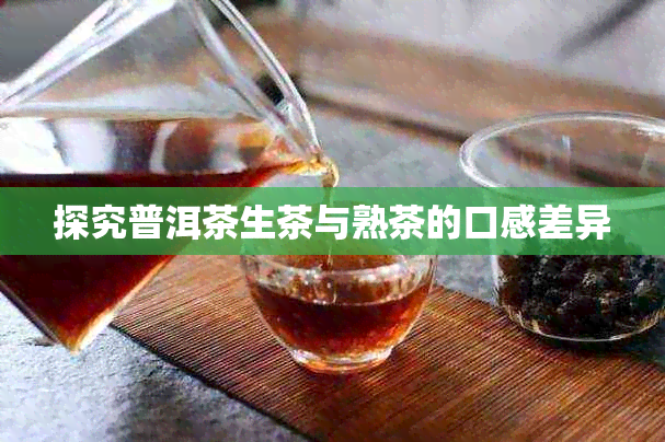 探究普洱茶生茶与熟茶的口感差异