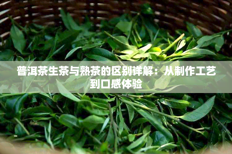 普洱茶生茶与熟茶的区别详解：从制作工艺到口感体验