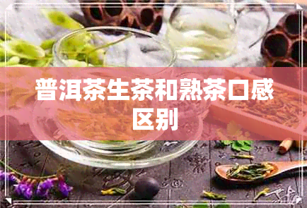 普洱茶生茶和熟茶口感区别