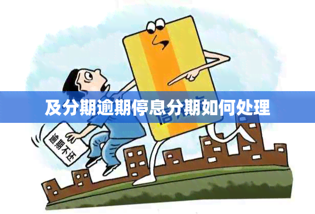 及分期逾期停息分期如何处理