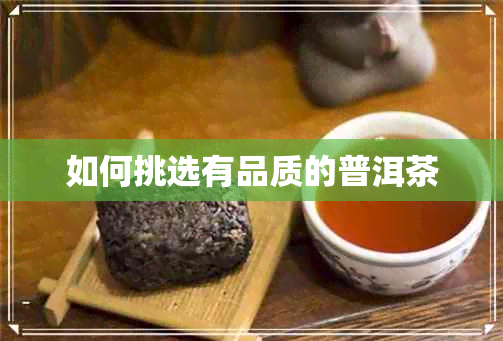 如何挑选有品质的普洱茶 如何挑选有品质的普洱茶