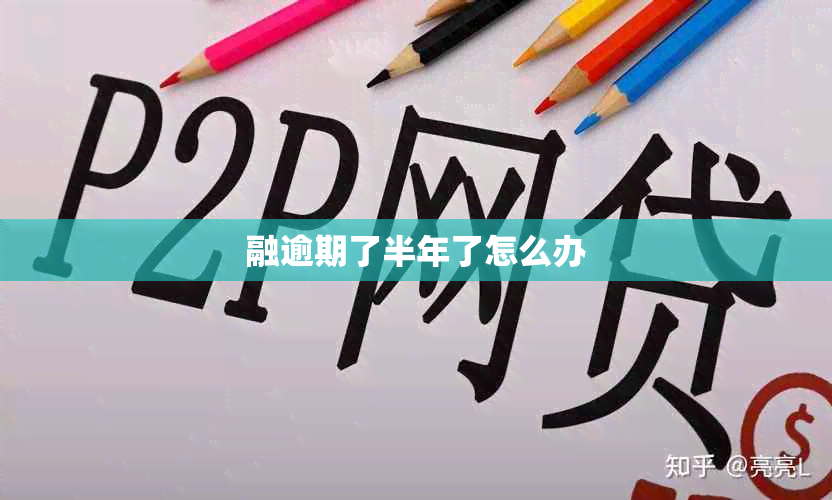 融逾期了半年了怎么办