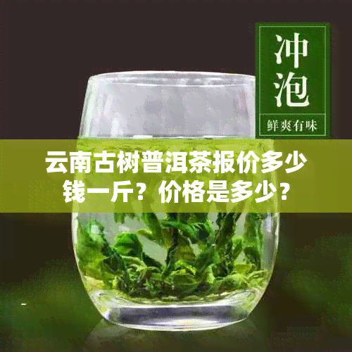云南古树普洱茶报价多少钱一斤？价格是多少？