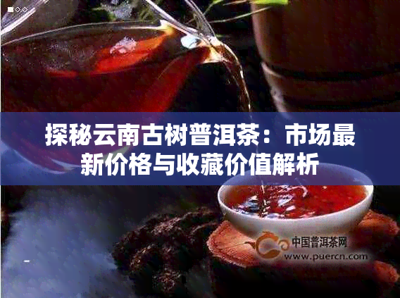 探秘云南古树普洱茶：市场最新价格与收藏价值解析