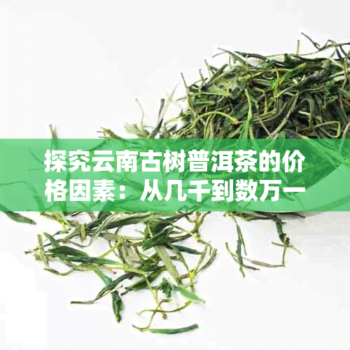 探究云南古树普洱茶的价格因素：从几千到数万一饼的全面解析