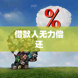 借款人无力偿还