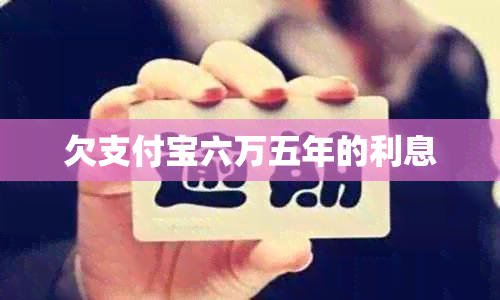 欠支付宝六万五年的利息