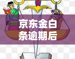 京东金白条逾期后果怎么办