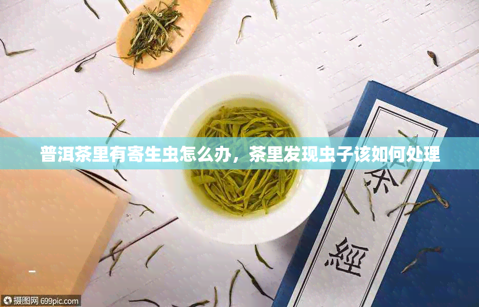普洱茶里有寄生虫怎么办，茶里发现虫子该如何处理