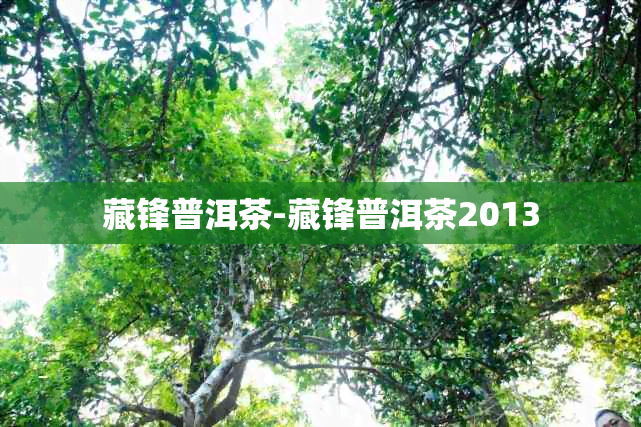 藏锋普洱茶-藏锋普洱茶2013