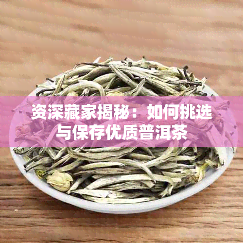 资深藏家揭秘:如何挑选与保存优质普洱茶