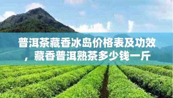 普洱茶藏香冰岛价格表及功效，藏香普洱熟茶多少钱一斤