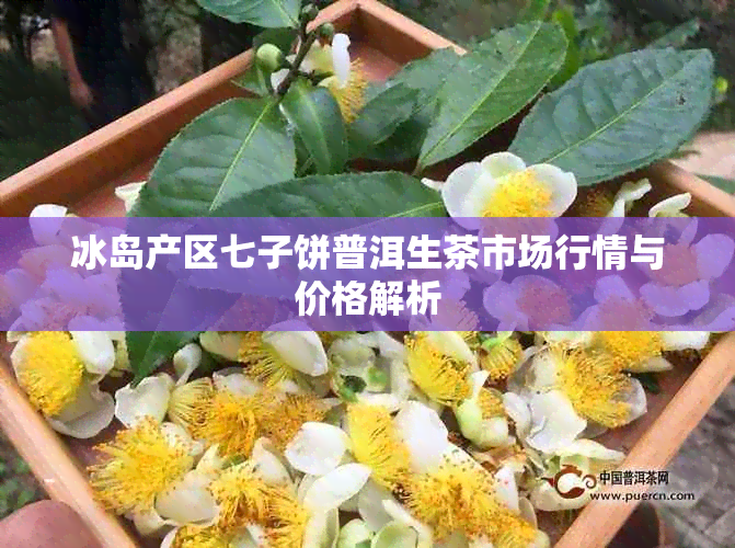 冰岛产区七子饼普洱生茶市场行情与价格解析