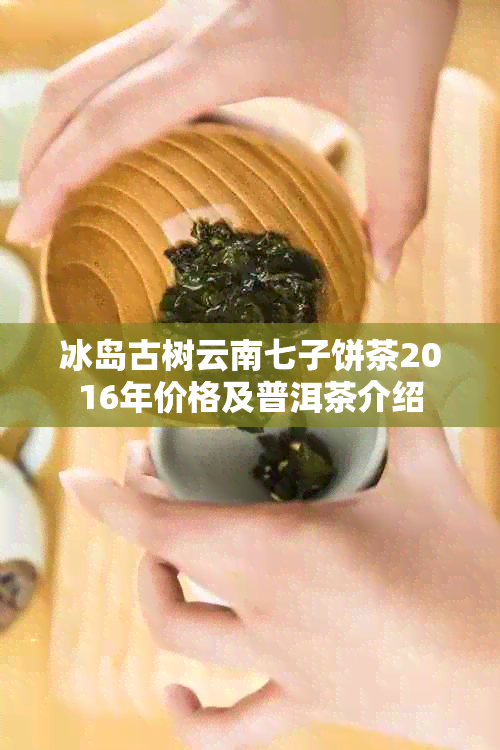 冰岛古树云南七子饼茶2016年价格及普洱茶介绍