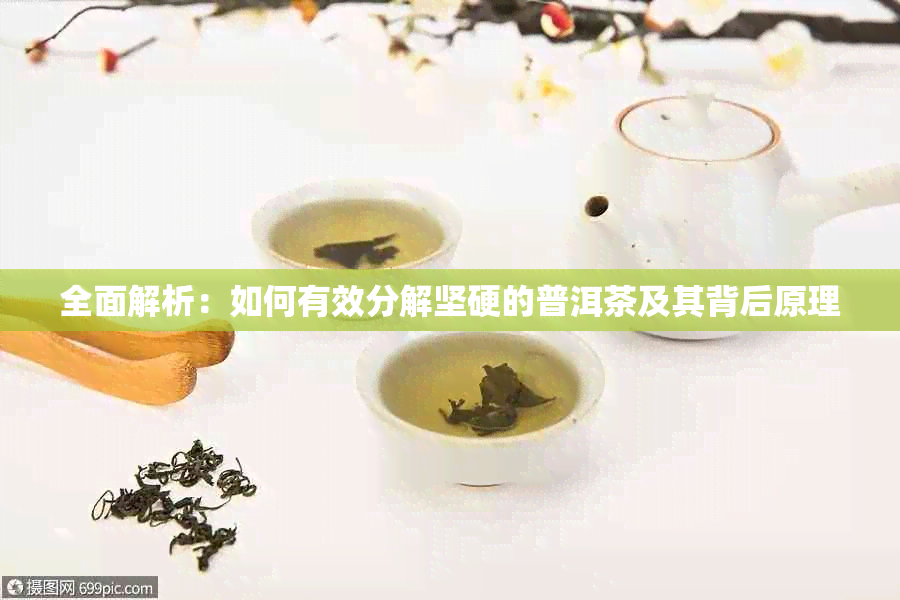 全面解析:如何有效分解坚硬的普洱茶及其背后原理
