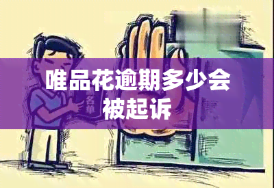 唯品花逾期多少会被起诉