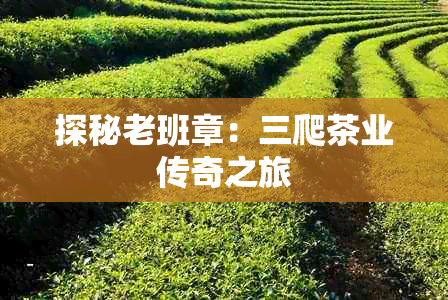 探秘老班章：三爬茶业传奇之旅