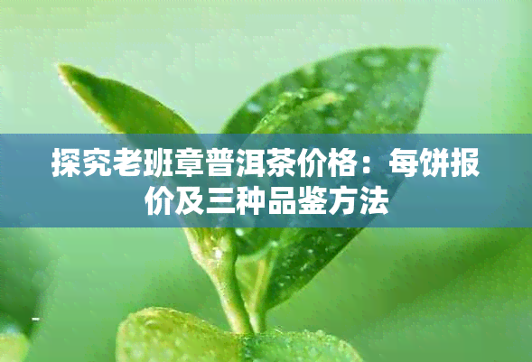 探究老班章普洱茶价格：每饼报价及三种品鉴方法