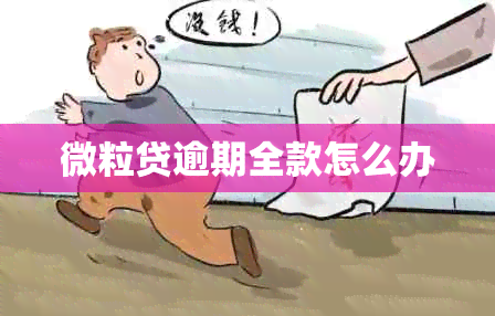 微粒贷逾期全款怎么办