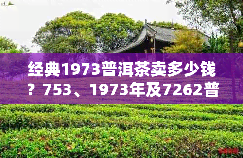 经典1973普洱茶卖多少钱？753、1973年及7262普洱茶价格