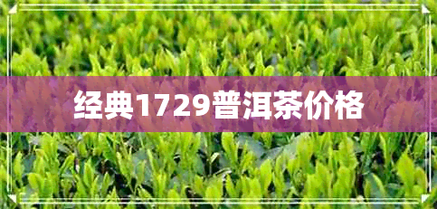 经典1729普洱茶价格 经典1729普洱茶价格