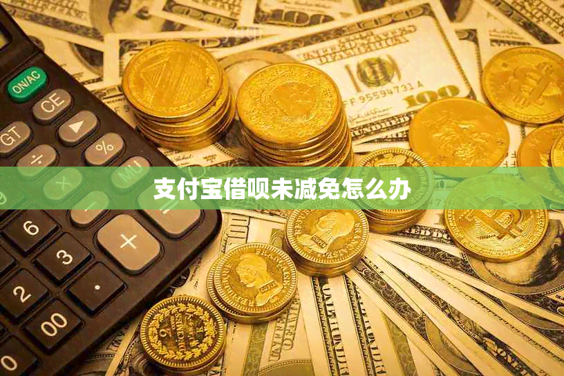 支付宝网贷未减免怎么办