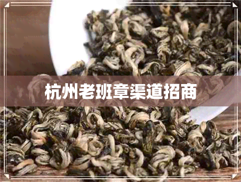 杭州老班章渠道招商