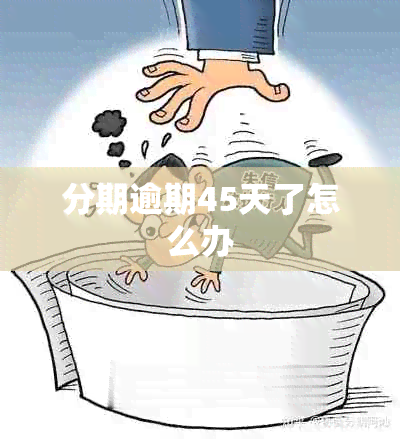 分期逾期45天了怎么办