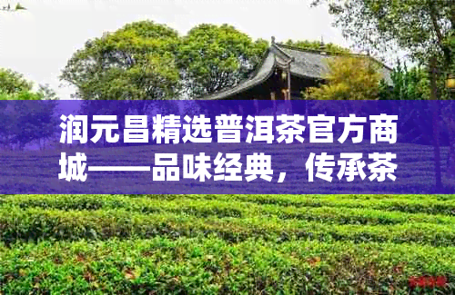 润元昌精选普洱茶官方商城——品味经典,传承茶艺