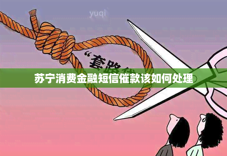 苏宁消费金融短信催款该如何处理