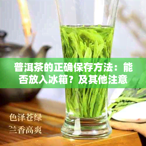 普洱茶的正确保存方法:能否放入冰箱?及其他注意事项
