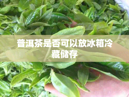 普洱茶是否可以放冰箱冷藏储存