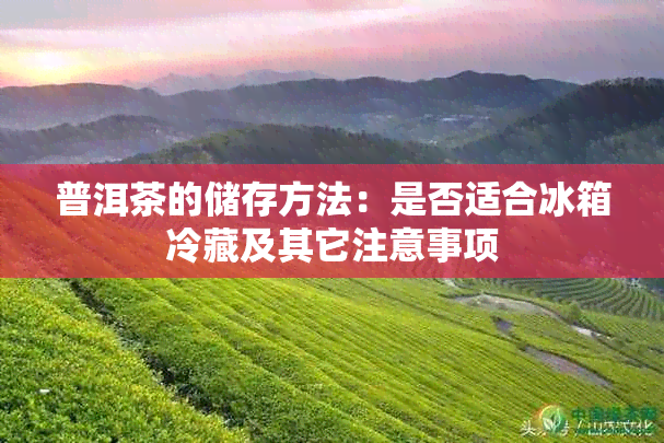 普洱茶的储存方法:是否适合冰箱冷藏及其它注意事项