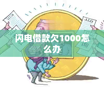 闪电借款欠1000怎么办